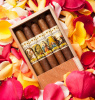 Regina Cigars 5 Pack Dominican Assortment Gift Box + 3 FREE CIGARS